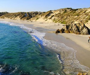 5 Reasons To Love Gansbaai